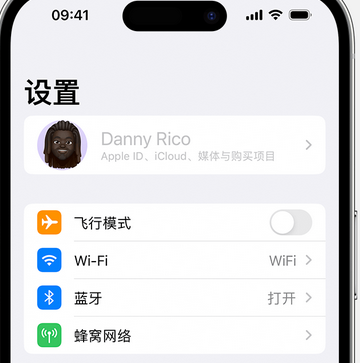 新和appleID维修服务iPhone设置中Apple ID显示为灰色无法使用 