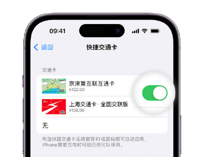 新和apple维修点分享iPhone上更换Apple Pay快捷交通卡手绘卡面 