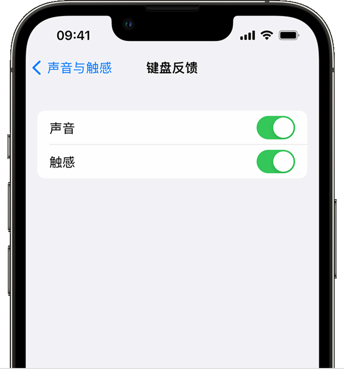 新和苹果14维修店分享如何在 iPhone 14 机型中使用触感键盘 