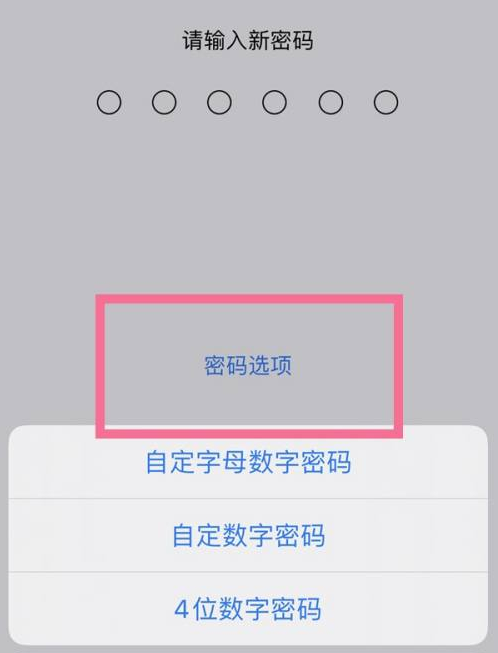 新和苹果14维修分享iPhone 14plus设置密码的方法 