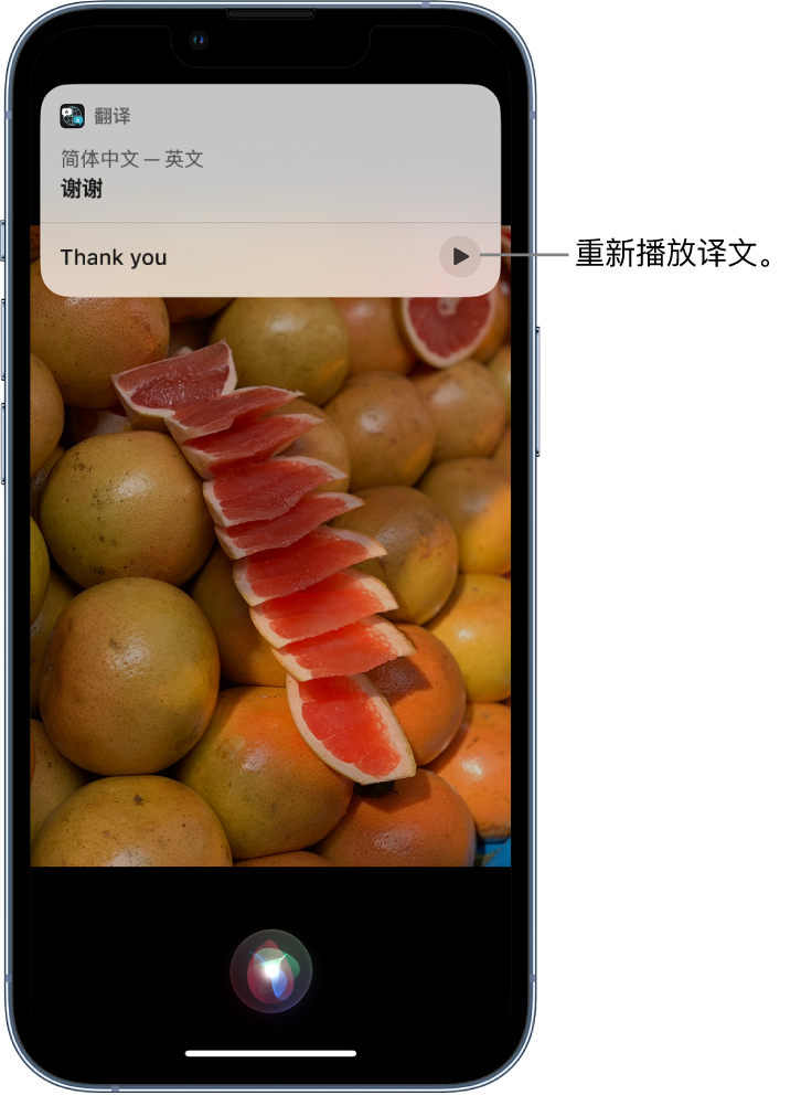 新和苹果14维修分享 iPhone 14 机型中使用 Siri：了解 Siri 能帮你做什么 