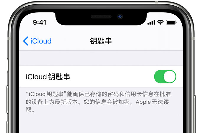 新和苹果手机维修分享在 iPhone 上开启 iCloud 钥匙串之后会储存哪些信息 