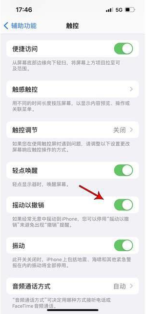 新和苹果手机维修分享iPhone手机如何设置摇一摇删除文字 